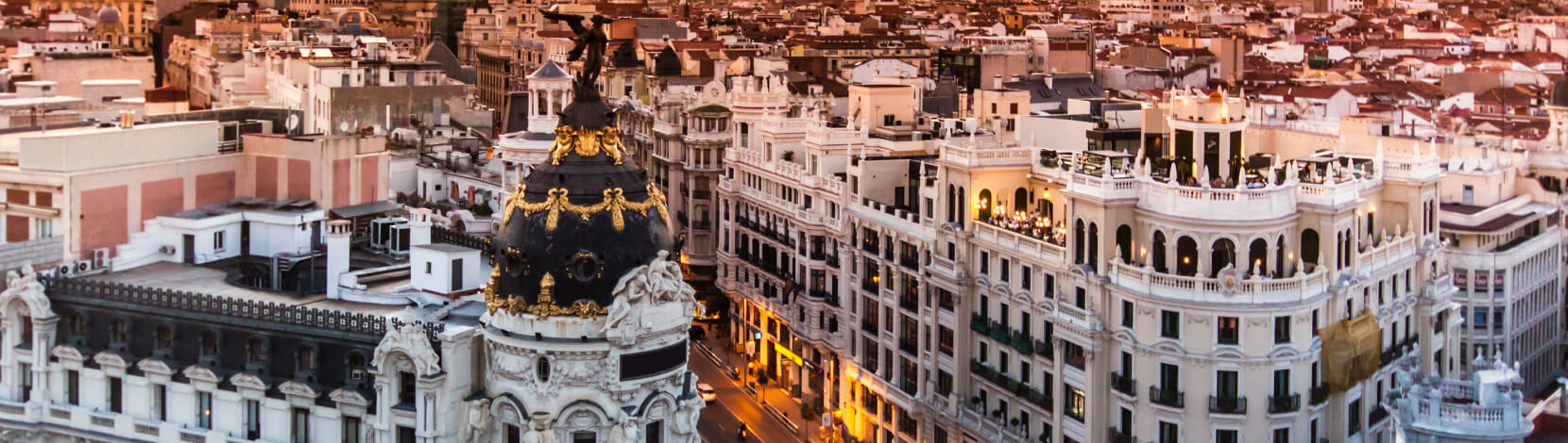 BRONZE LIFT Excellence